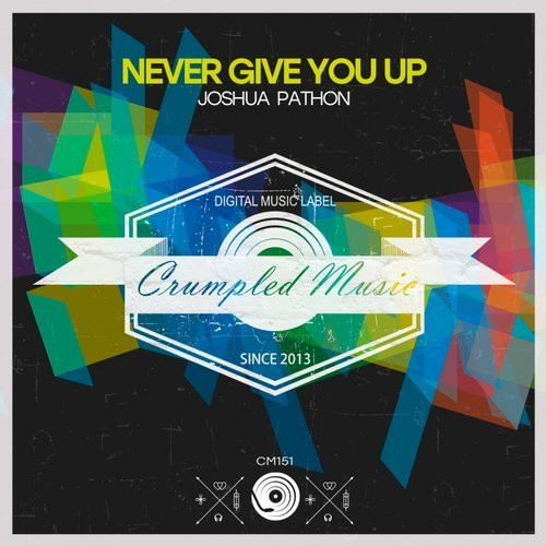 Never Give You Up