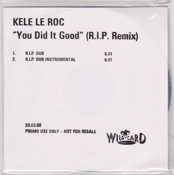You Did It Good (R.I.P. Remix)