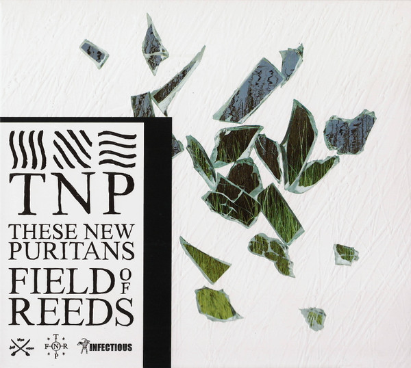 Field Of Reeds