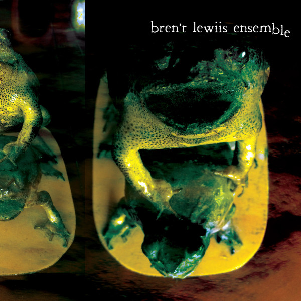 Taxidermy Frogs Copulating