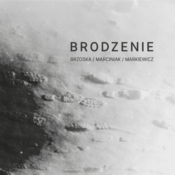 Brodzenie