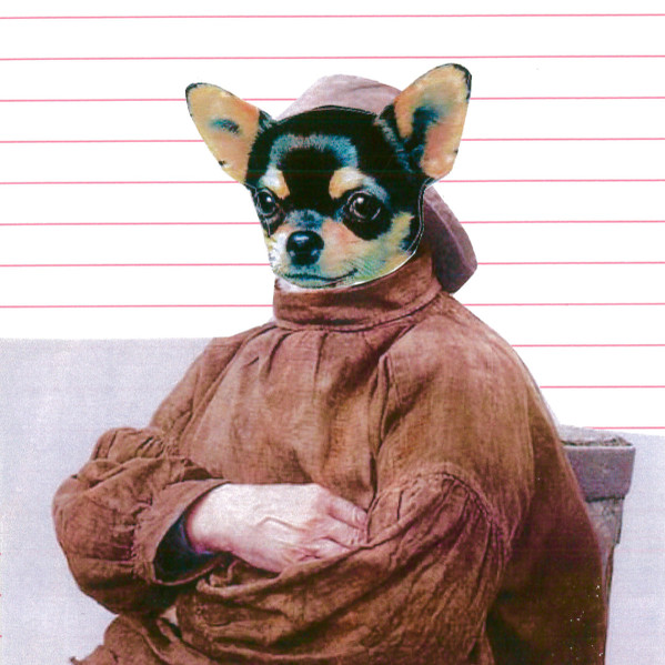 Dogs N Yaaa