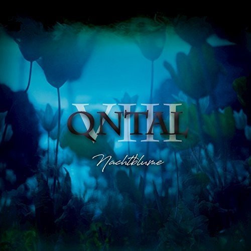 VIII - Nachtblume