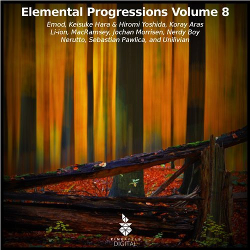 Elemental Progressions Volume 8