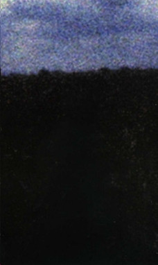 Anni