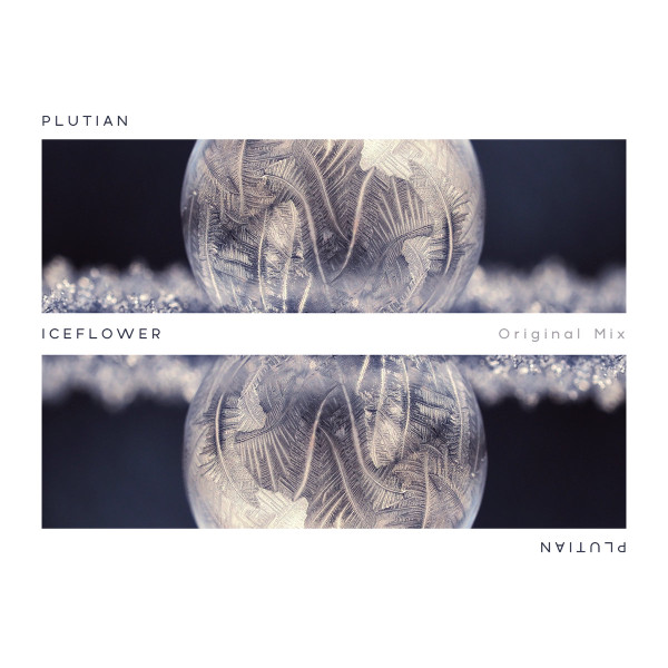 Iceflower