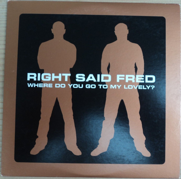 Where Do You Go To My Lovely?