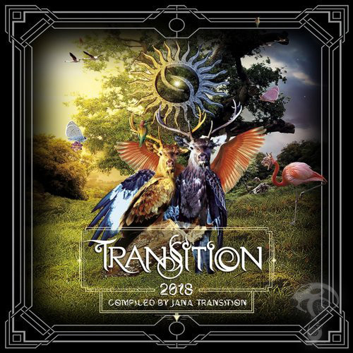 Transition 2018