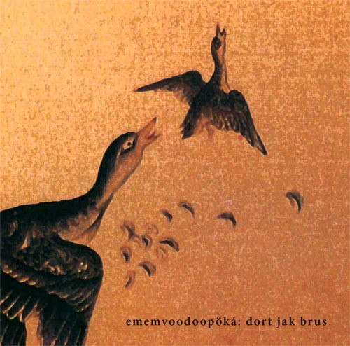 Dort Jak Brus