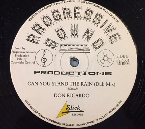 Can You Stand The Rain