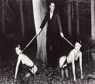 Nuss / Legless Split