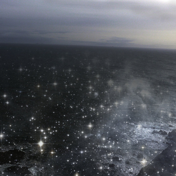 The Sea Of Night