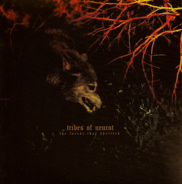 The Forest That Shelters / Filament