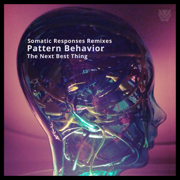 The Next Best Thing​ (​Somatic Responses Remixes)