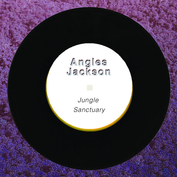 Jungle Sanctuary