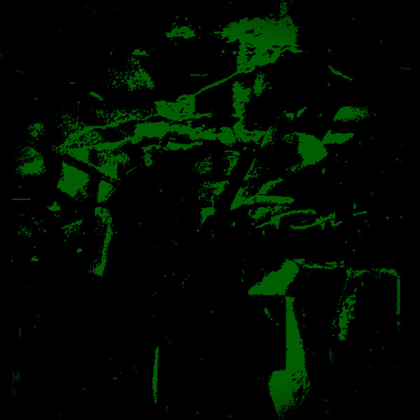 Flesh World