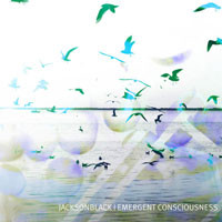 Emergent Consciousness