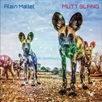 Mutt Slang