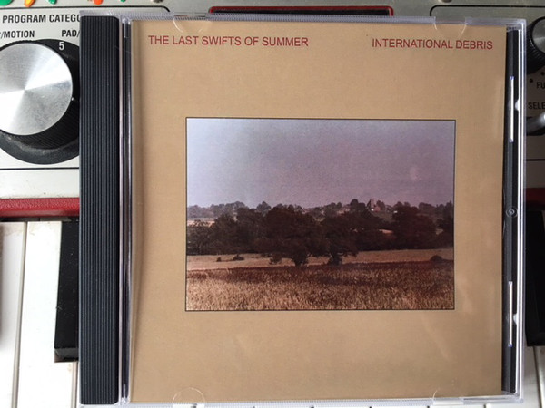 The Last Swifts Of Summer