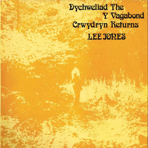 Dychweliad Y Crwydryn