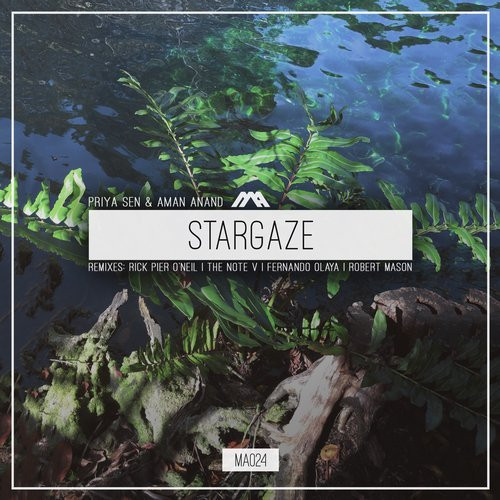 Stargaze