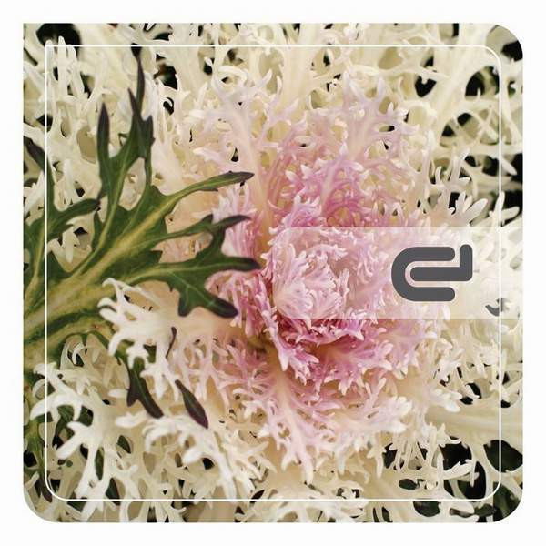 Respirar / The Remixes