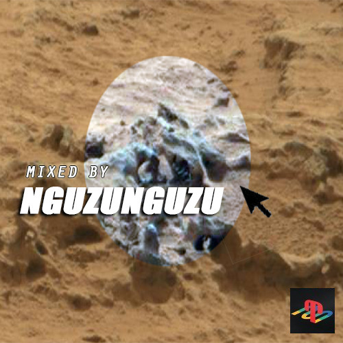 Mixed By Nguzunguzu