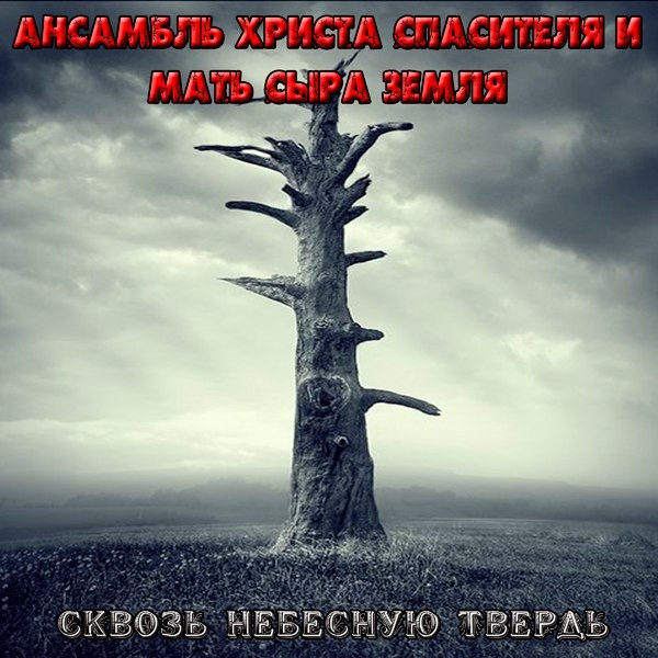 Сквозь небесную твердь