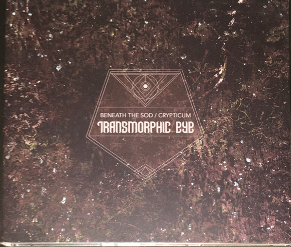 Transmorphic Eye