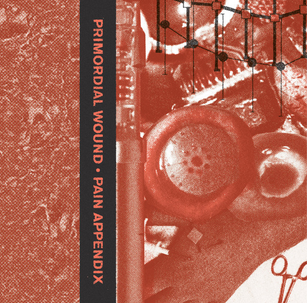 Primordial Wound • Pain Appendix