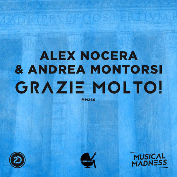 Grazie Molto!