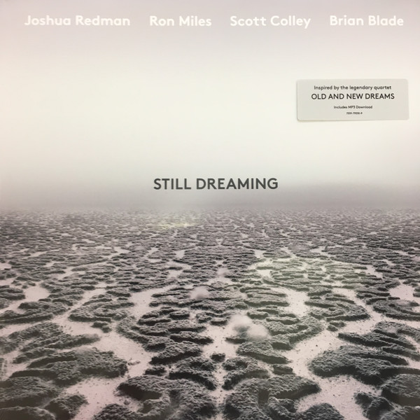 Still Dreaming 