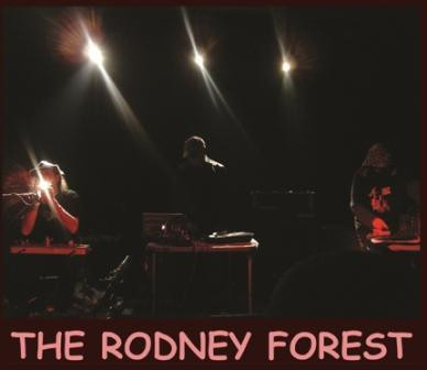 The Rodney Forest
