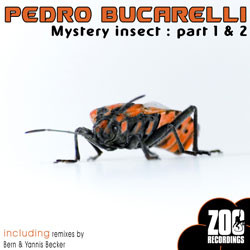 Mystery Insect : Part 1 & 2