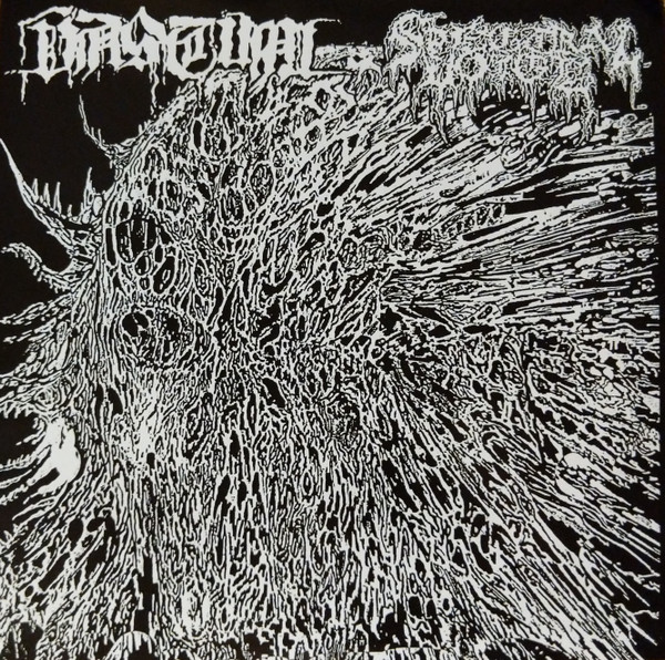 Vastum / Spectral Voice