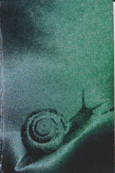 Hung Curtain Of Silence About The Thing