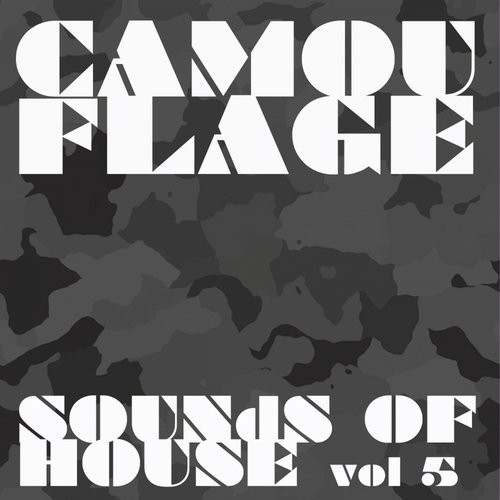 Camouflage Sounds Of House, Vol.5