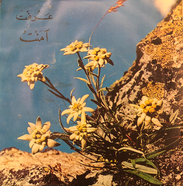 عرفت / آمنت
