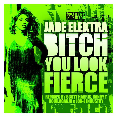 Bitch You Look Fierce