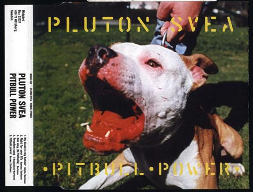 Pitbull Power