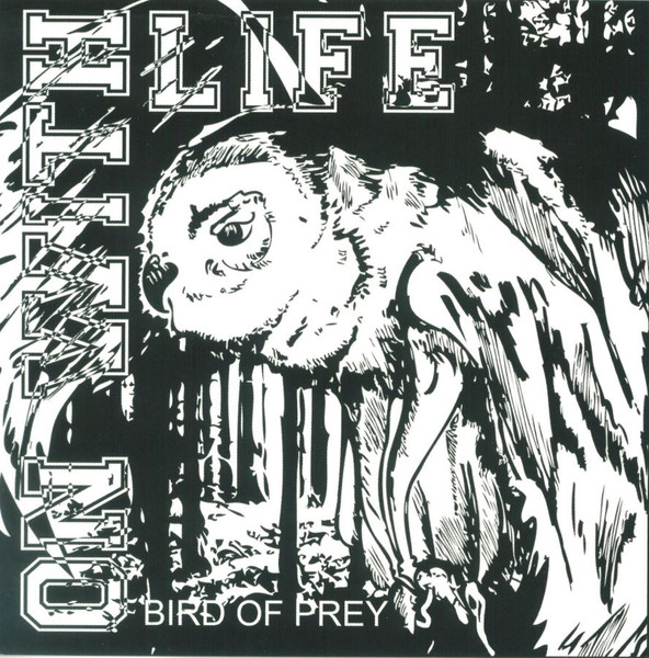 Bird Of Prey