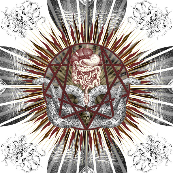 Oxyuranus
