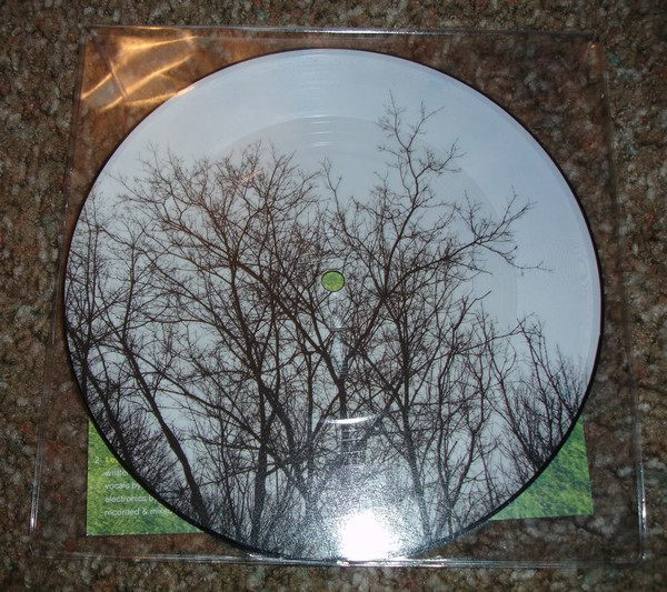 A David Horvitz Picture Disc With Casiotone For The Painfully Alone