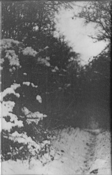 The Third Winter
