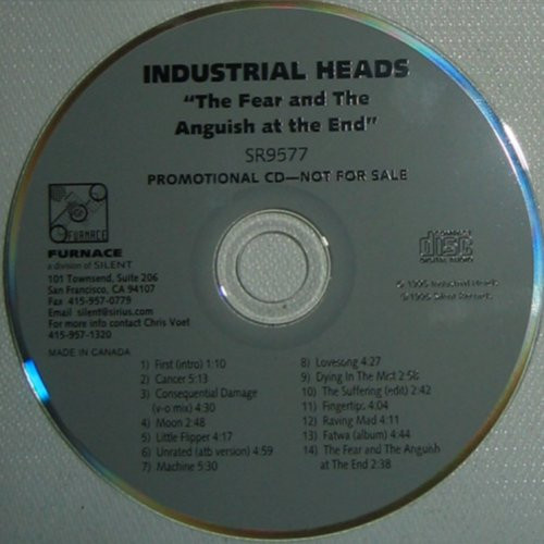 The Fear And The Anguish At The End