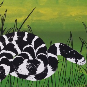 SASSAS Records V1.1