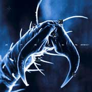 Singularity / Kingstone Drug Dub