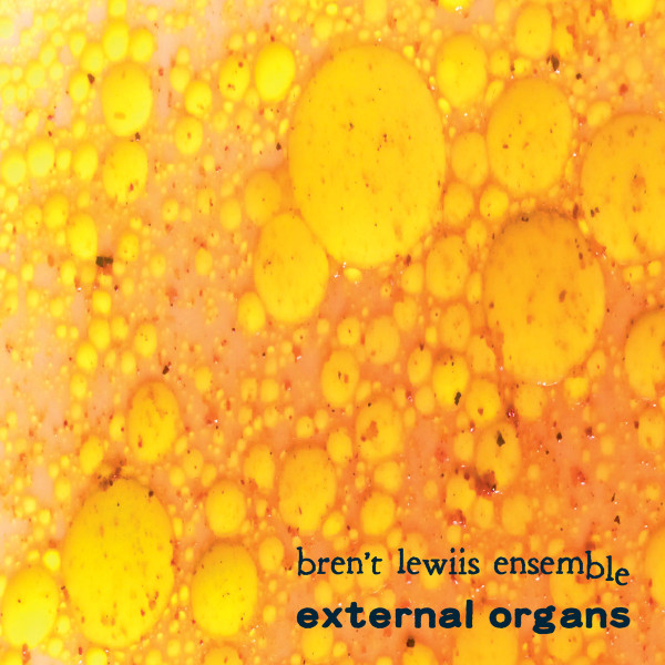External Organs