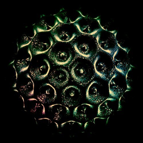 Continuum EP