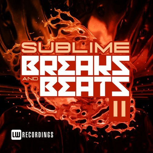 Sublime Breaks And Beats 11